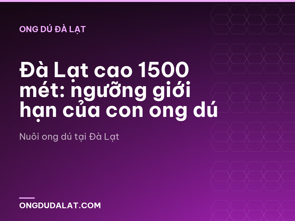 Đà Lạt cao 1500 mét: ngưỡng giới hạn của con ong dú