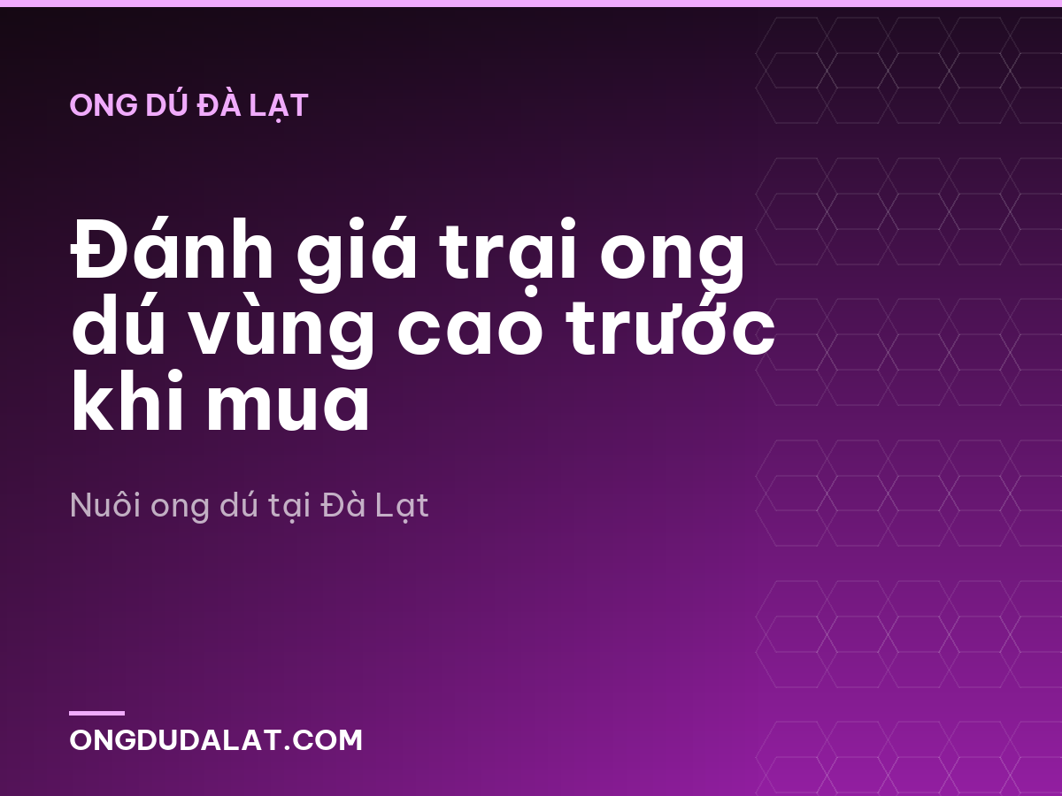 Đánh giá trại ong dú vùng cao trước khi mua