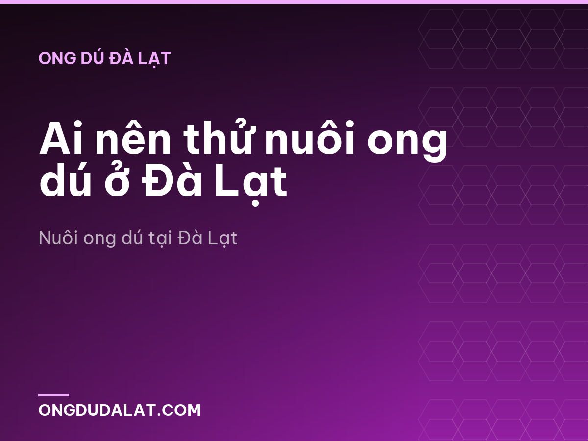 Ai nên thử nuôi ong dú ở Đà Lạt