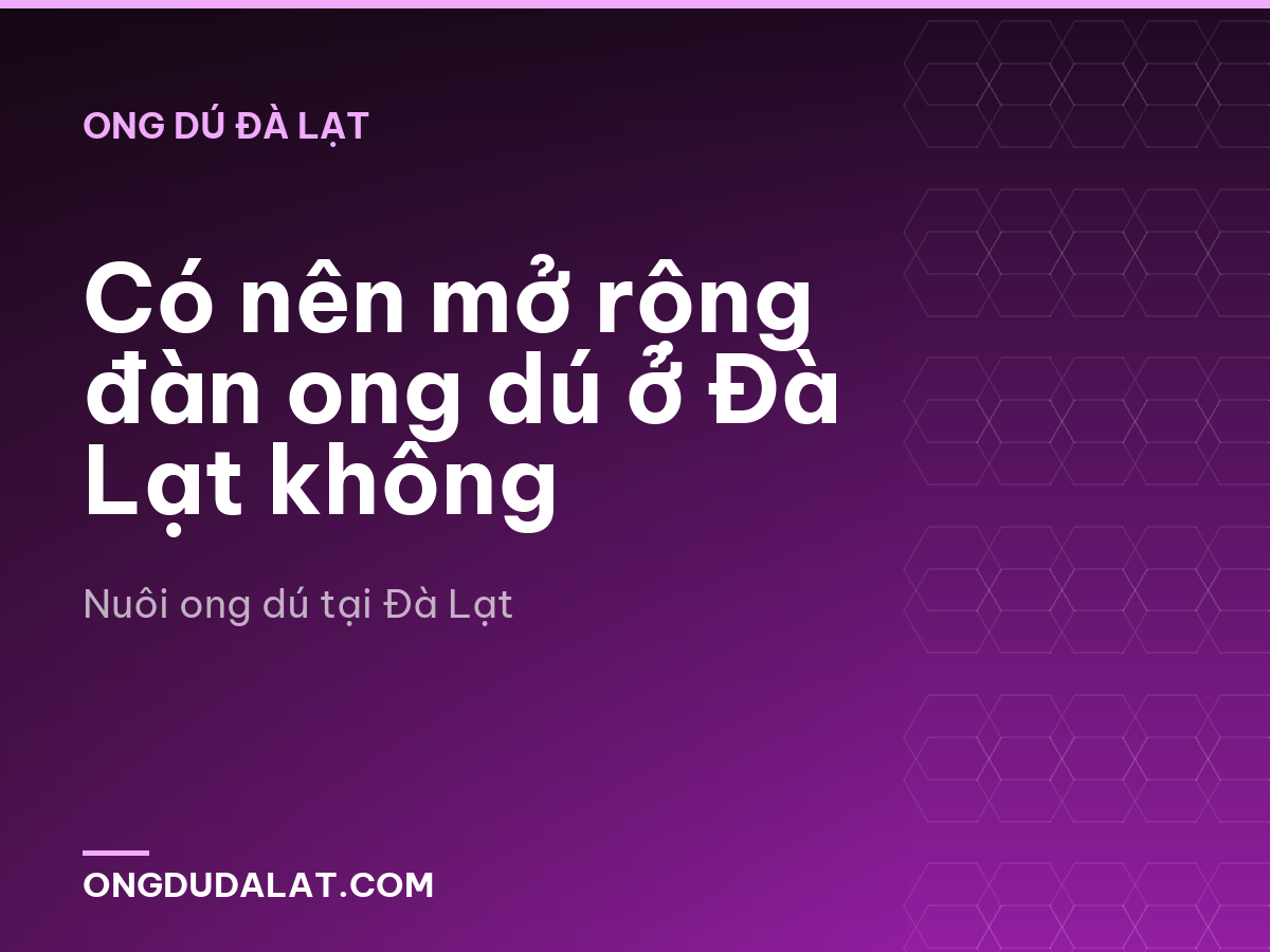 Có nên mở rộng đàn ong dú ở Đà Lạt không