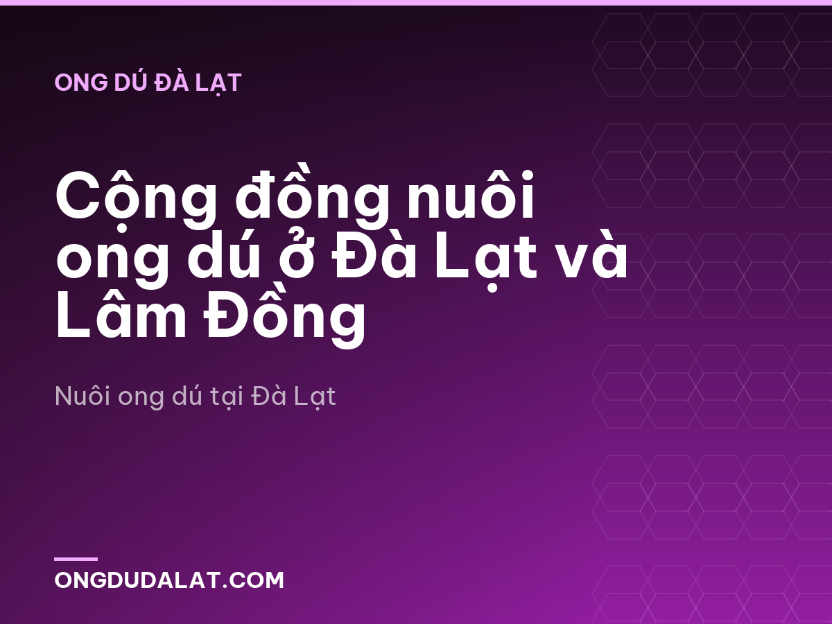 Cộng đồng nuôi ong dú ở Đà Lạt và Lâm Đồng