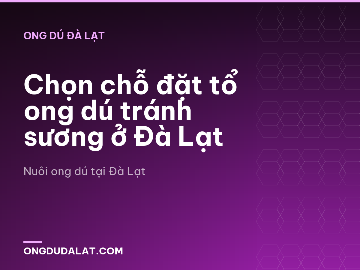 Chọn chỗ đặt tổ ong dú tránh sương ở Đà Lạt