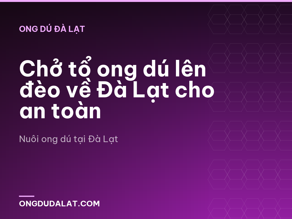Chở tổ ong dú lên đèo về Đà Lạt cho an toàn