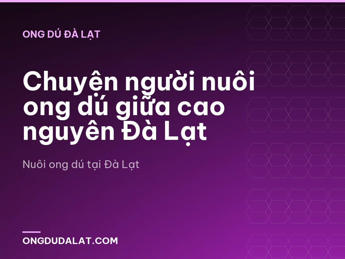 Chuyện người nuôi ong dú giữa cao nguyên Đà Lạt