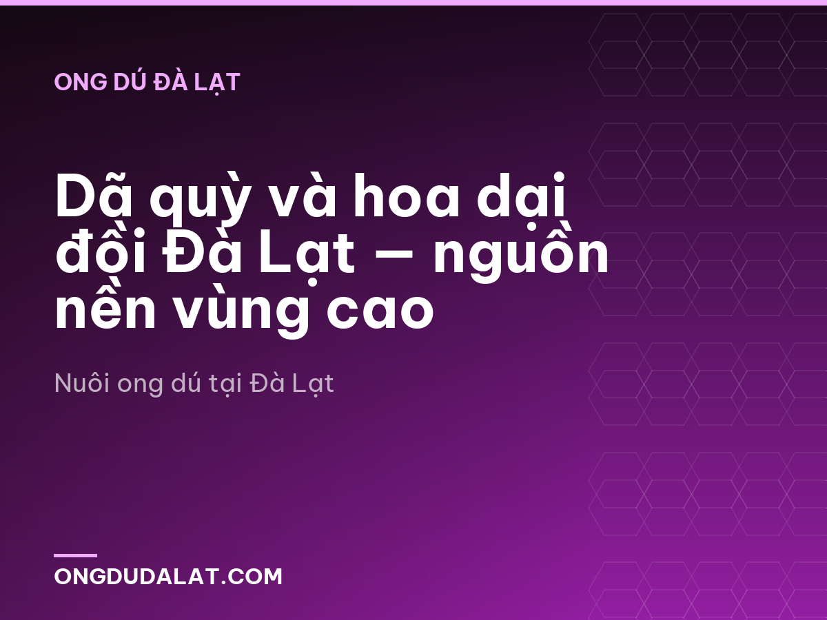 Dã quỳ và hoa dại đồi Đà Lạt — nguồn nền vùng cao