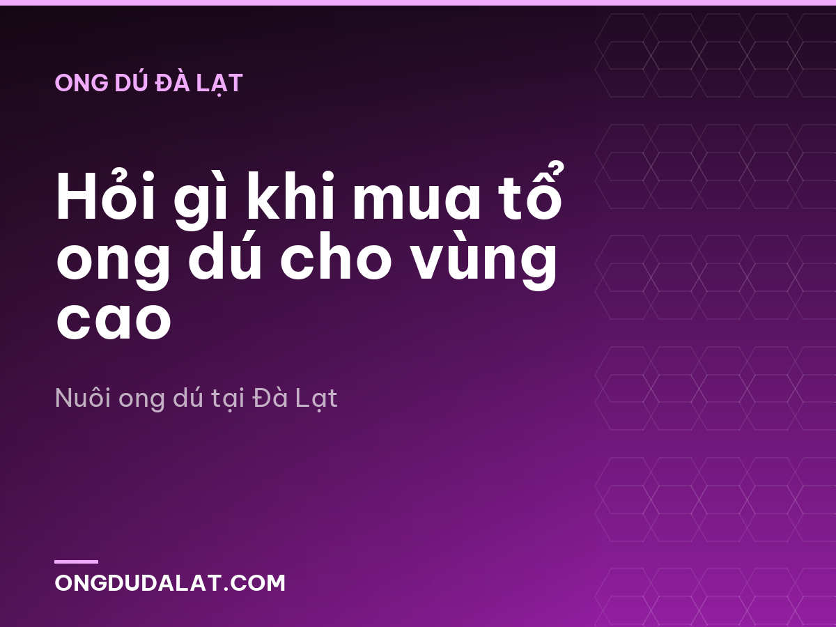 Hỏi gì khi mua tổ ong dú cho vùng cao
