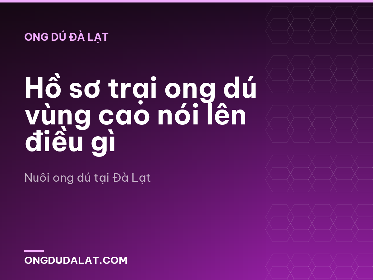 Hồ sơ trại ong dú vùng cao nói lên điều gì