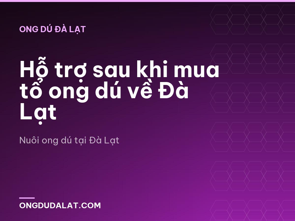 Hỗ trợ sau khi mua tổ ong dú về Đà Lạt