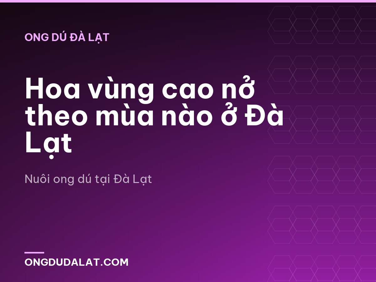 Hoa vùng cao nở theo mùa nào ở Đà Lạt