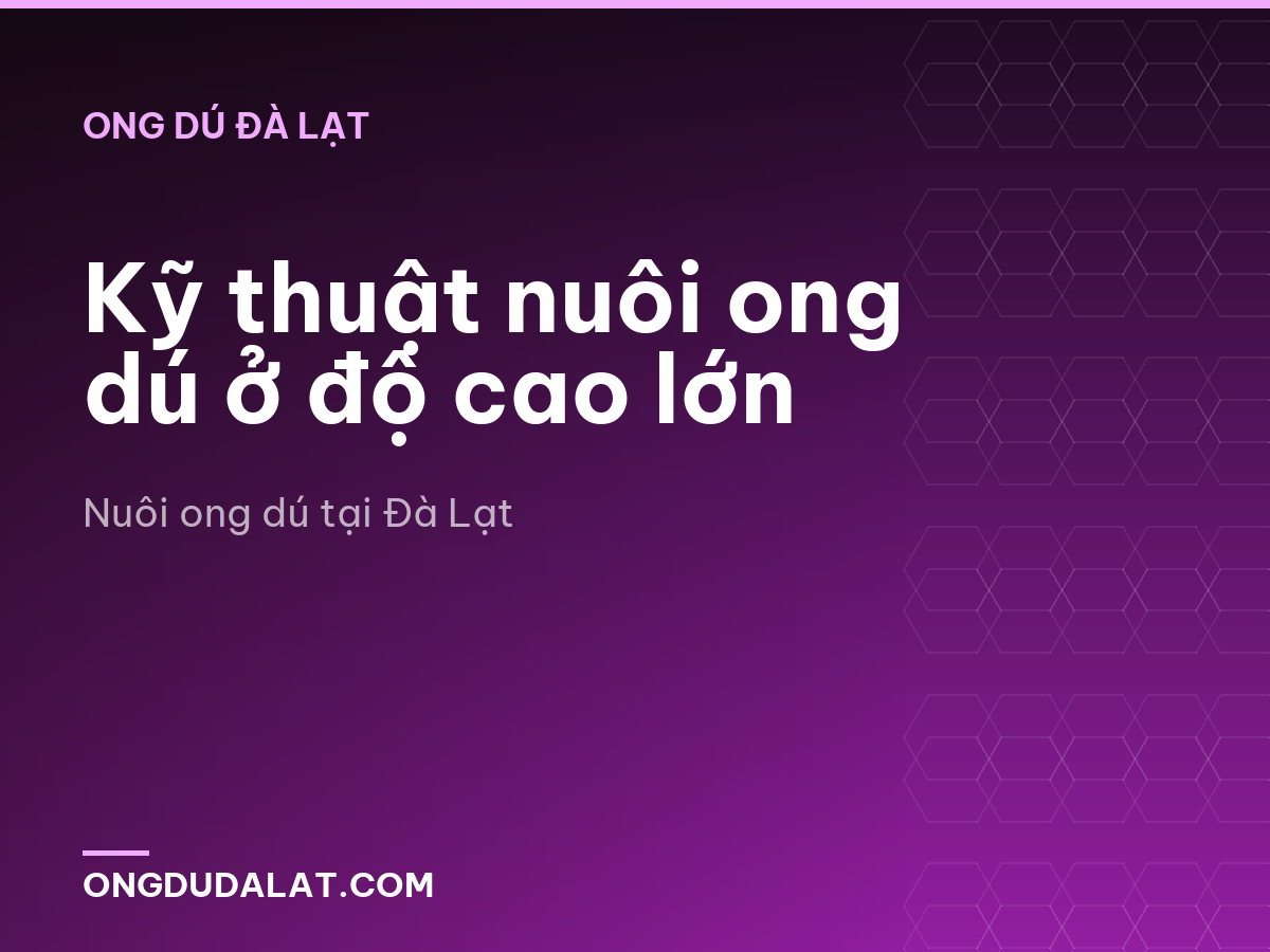 Kỹ thuật nuôi ong dú ở độ cao lớn