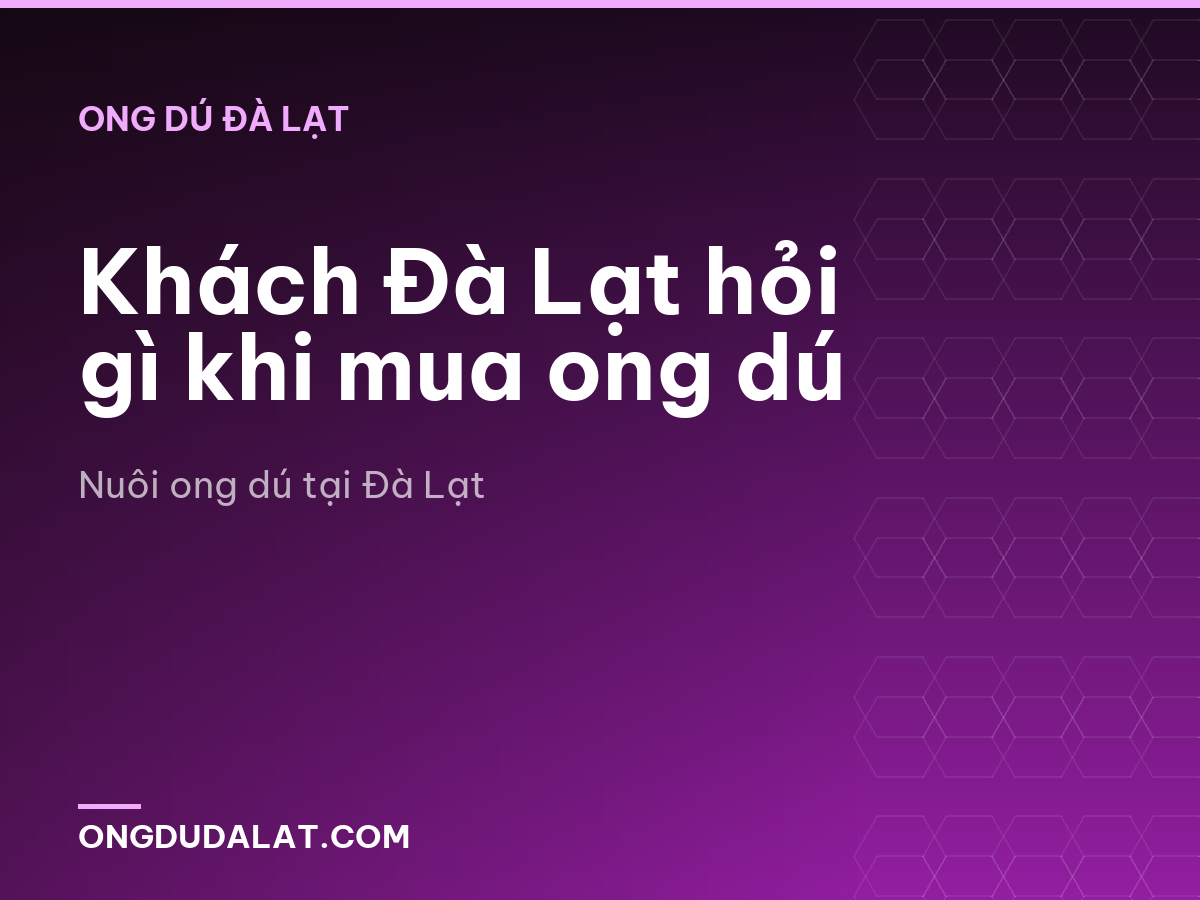 Khách Đà Lạt hỏi gì khi mua ong dú