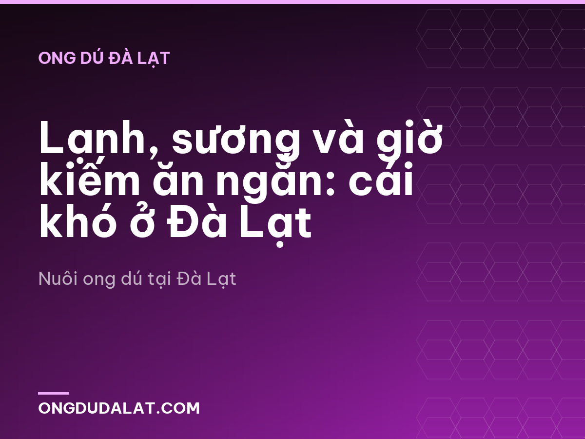 Lạnh, sương và giờ kiếm ăn ngắn: cái khó ở Đà Lạt