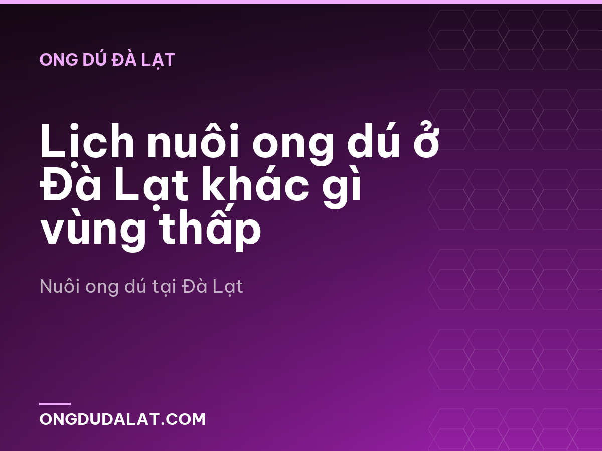 Lịch nuôi ong dú ở Đà Lạt khác gì vùng thấp