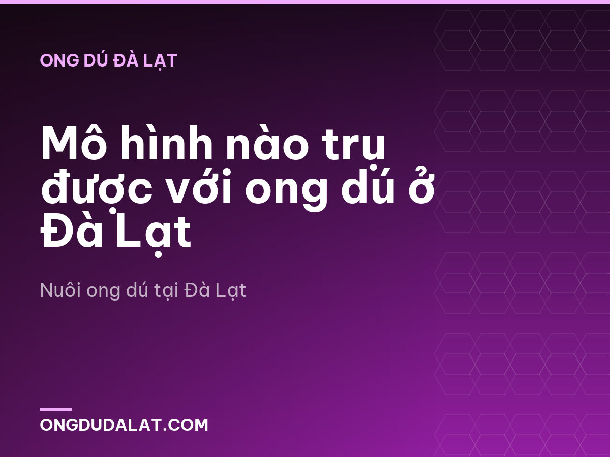Mô hình nào trụ được với ong dú ở Đà Lạt