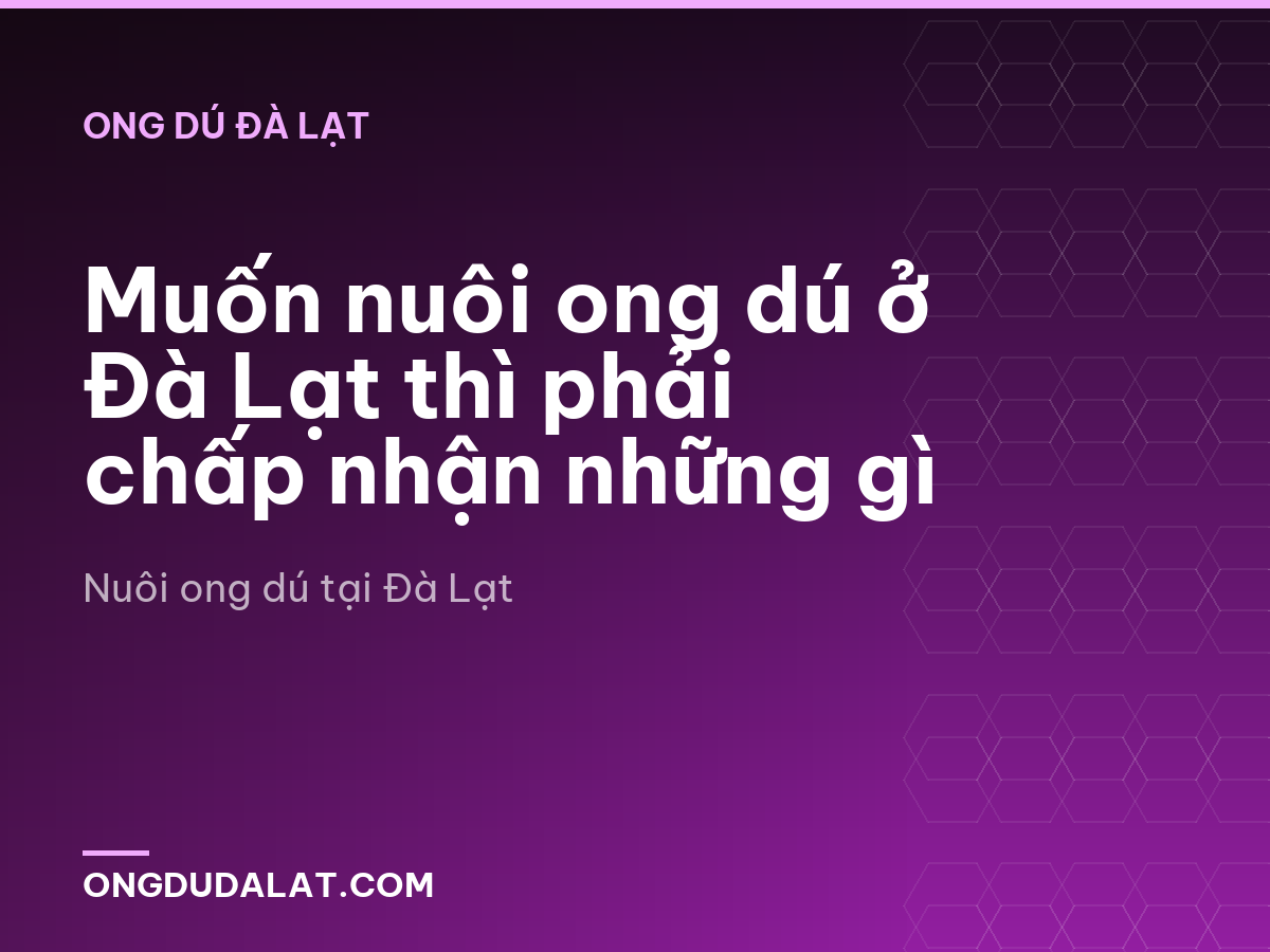 Muốn nuôi ong dú ở Đà Lạt thì phải chấp nhận những gì