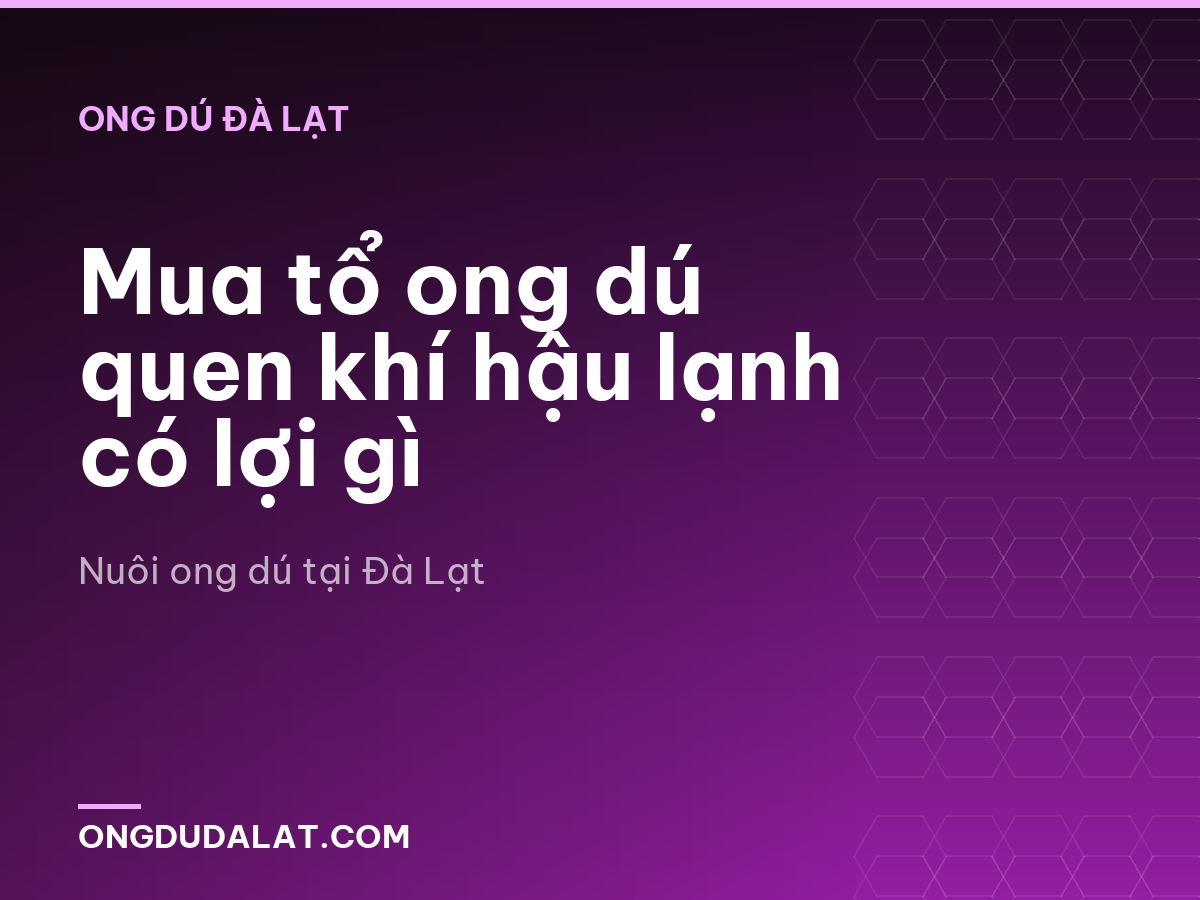 Mua tổ ong dú quen khí hậu lạnh có lợi gì