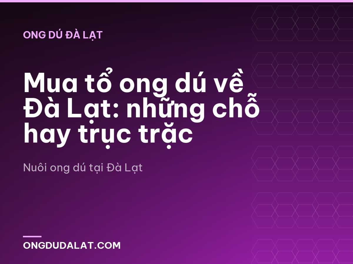 Mua tổ ong dú về Đà Lạt: những chỗ hay trục trặc