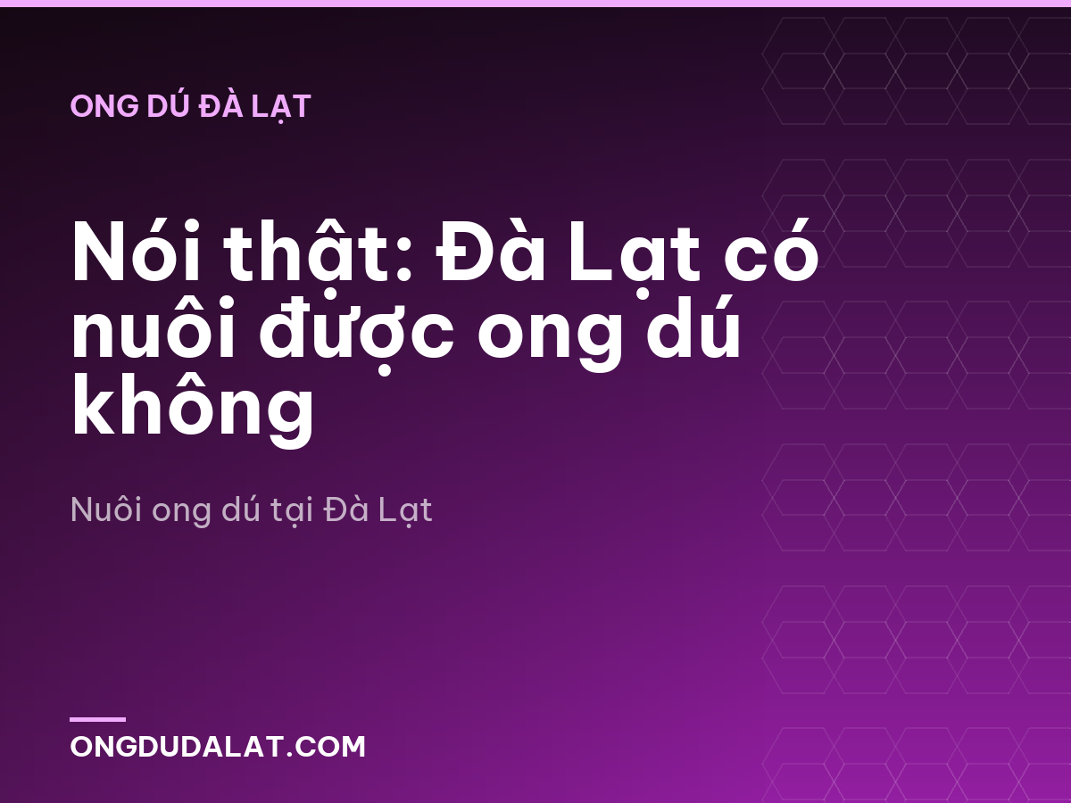 Nói thật: Đà Lạt có nuôi được ong dú không
