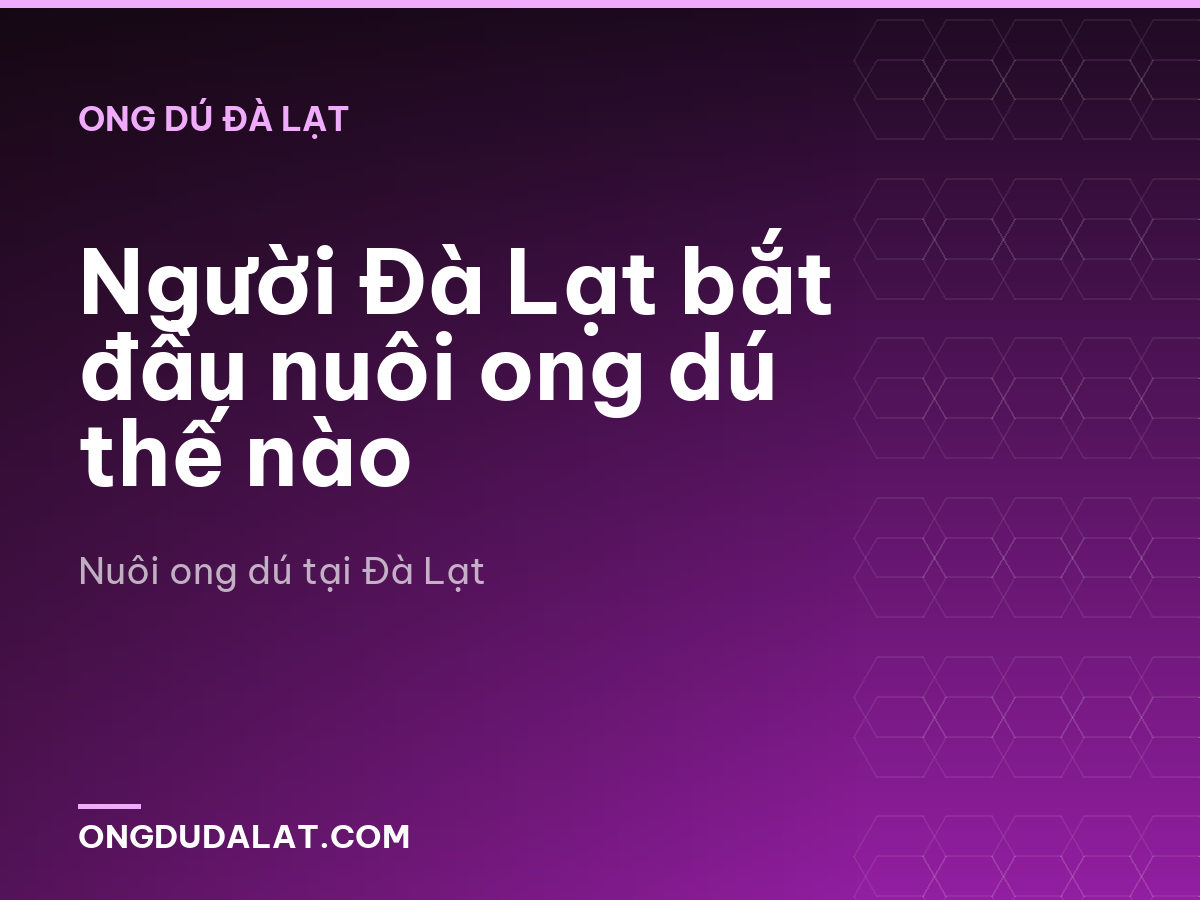 Người Đà Lạt bắt đầu nuôi ong dú thế nào