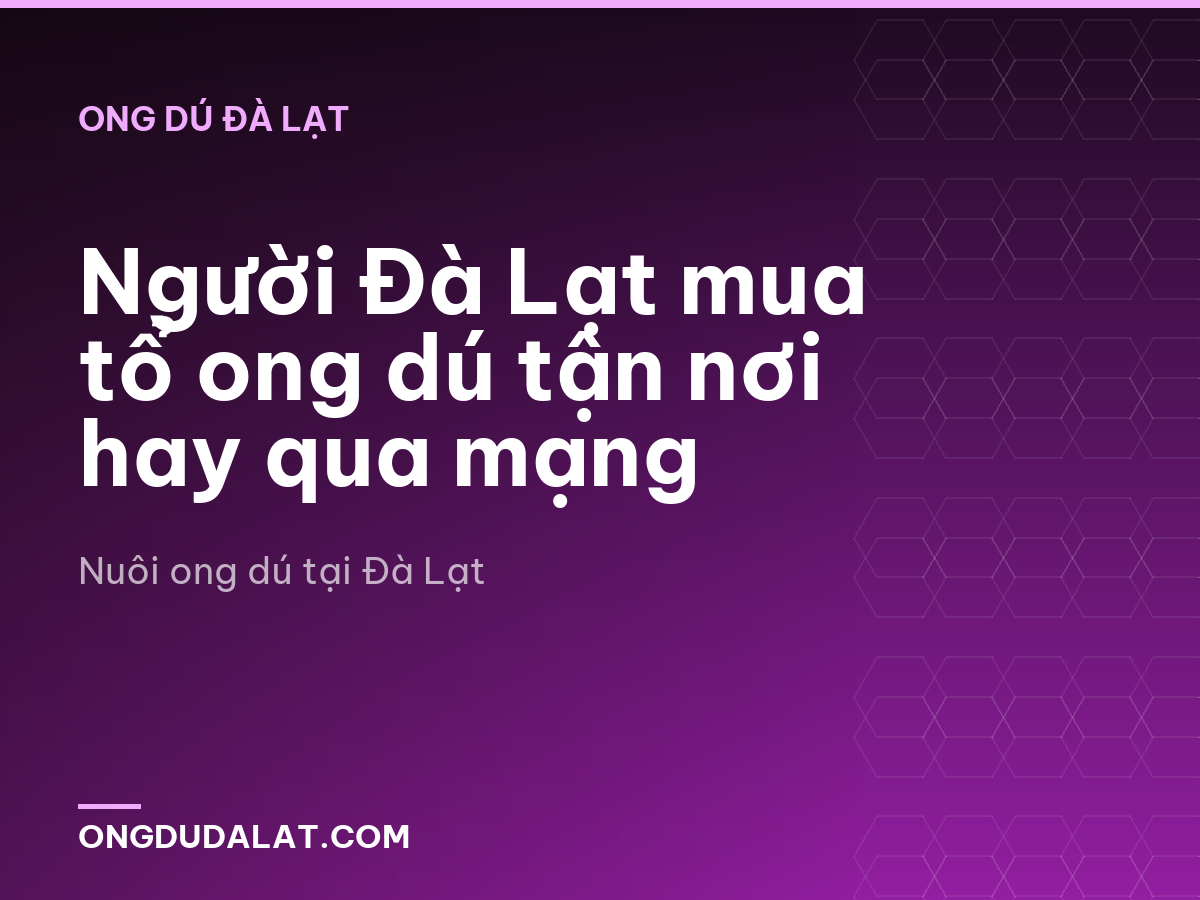 Người Đà Lạt mua tổ ong dú tận nơi hay qua mạng