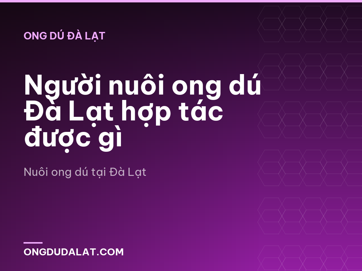 Người nuôi ong dú Đà Lạt hợp tác được gì