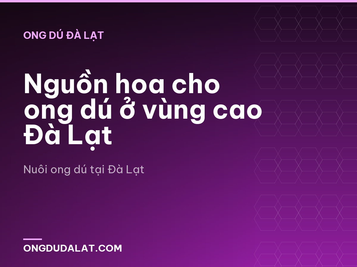 Nguồn hoa cho ong dú ở vùng cao Đà Lạt