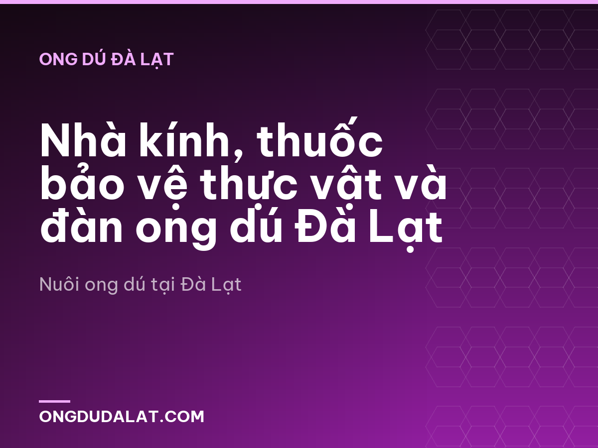 Nhà kính, thuốc bảo vệ thực vật và đàn ong dú Đà Lạt