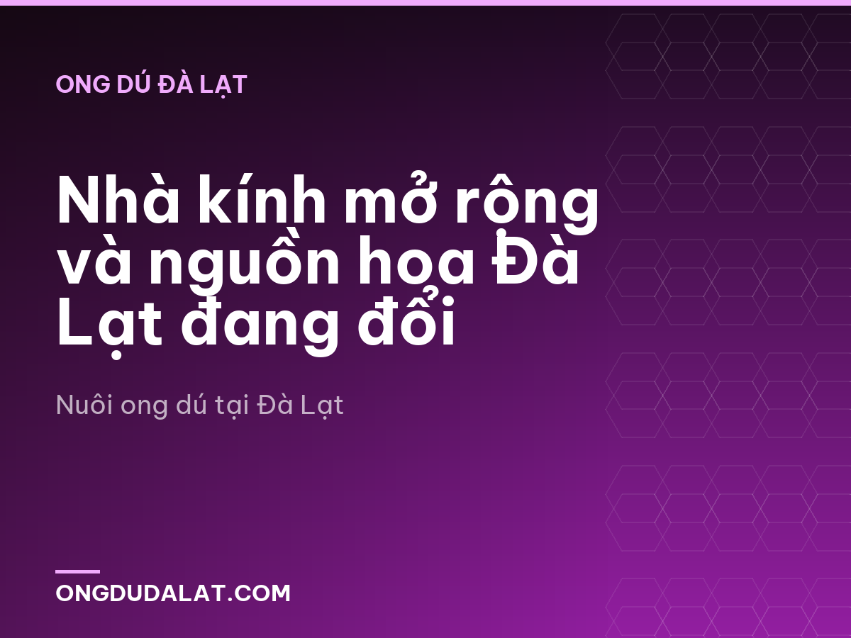 Nhà kính mở rộng và nguồn hoa Đà Lạt đang đổi
