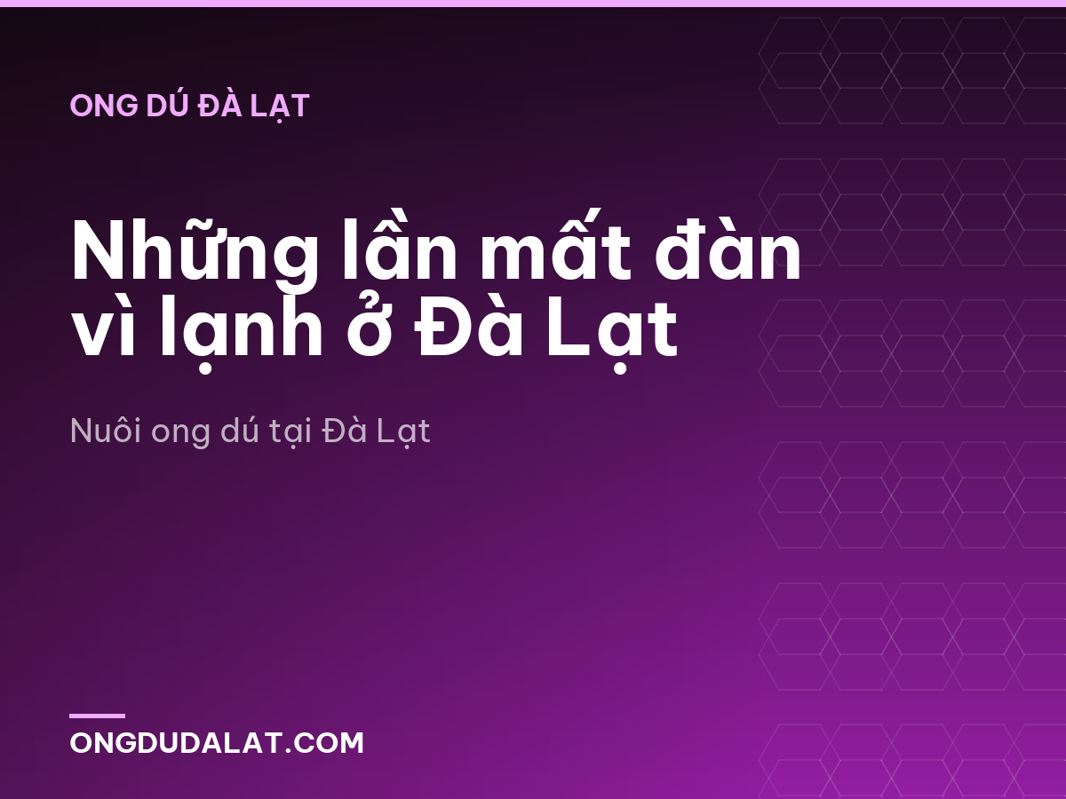 Những lần mất đàn vì lạnh ở Đà Lạt