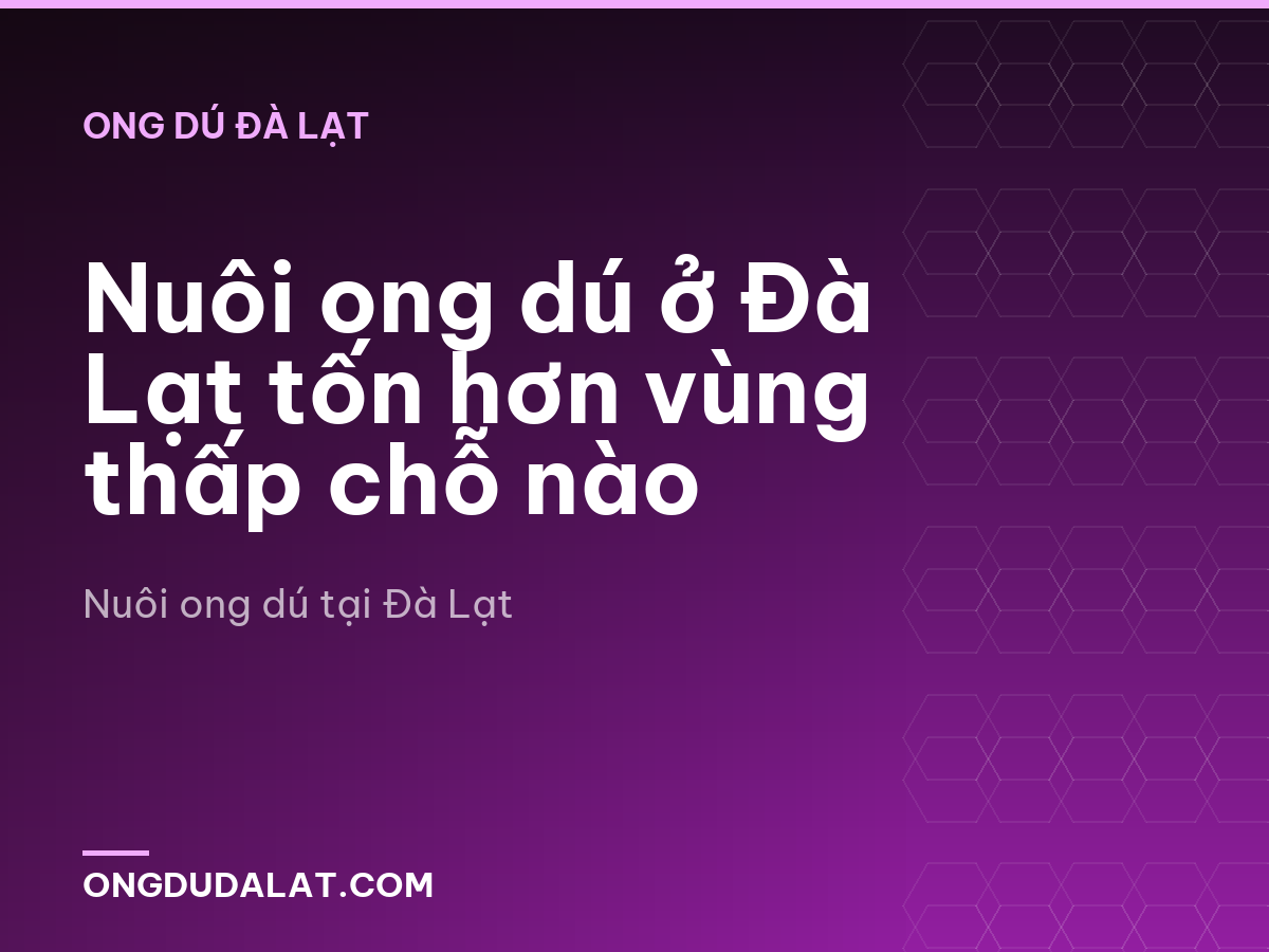 Nuôi ong dú ở Đà Lạt tốn hơn vùng thấp chỗ nào