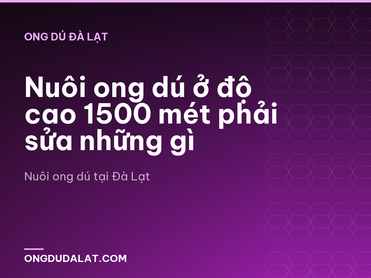 Nuôi ong dú ở độ cao 1500 mét phải sửa những gì