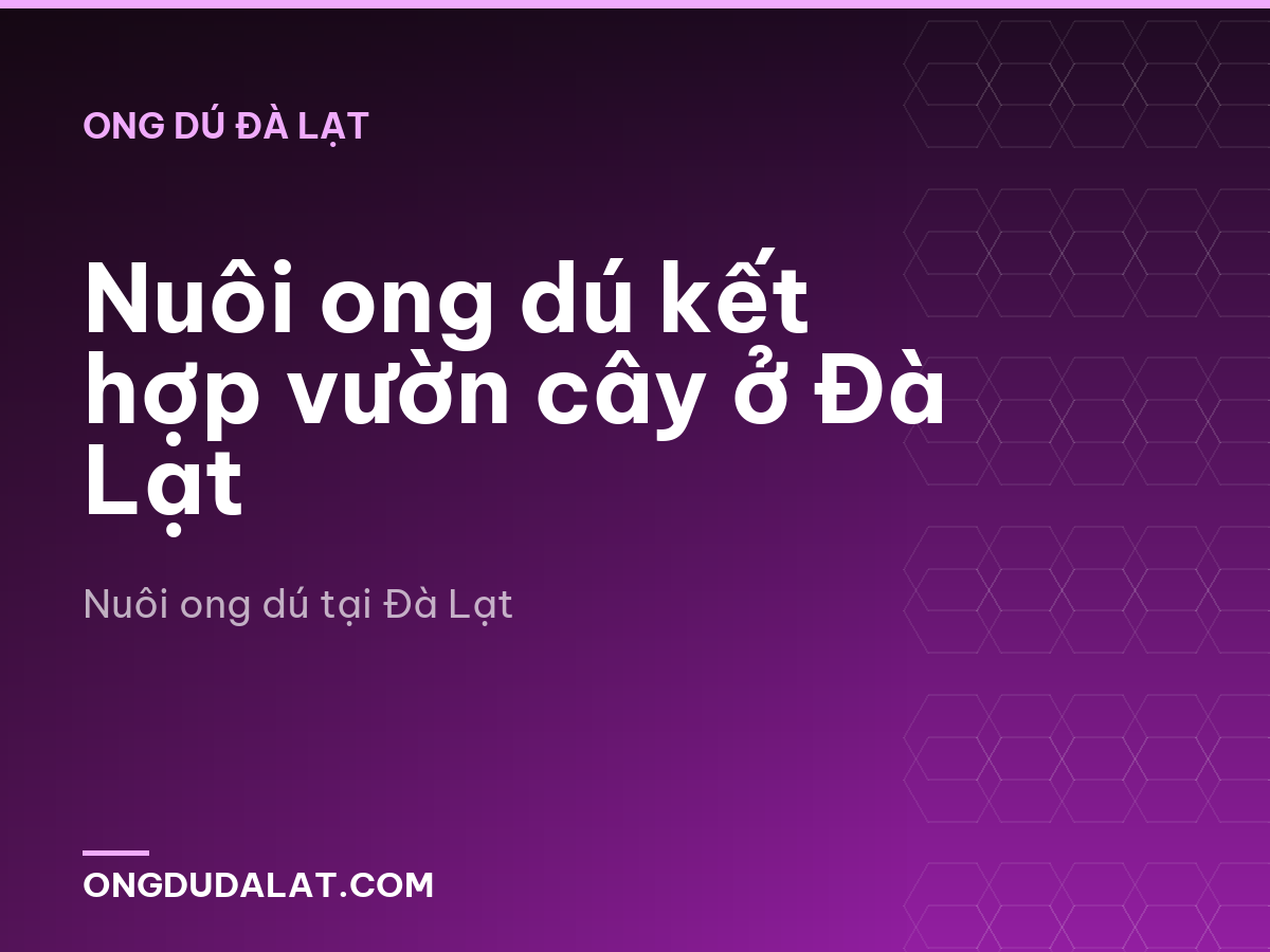 Nuôi ong dú kết hợp vườn cây ở Đà Lạt