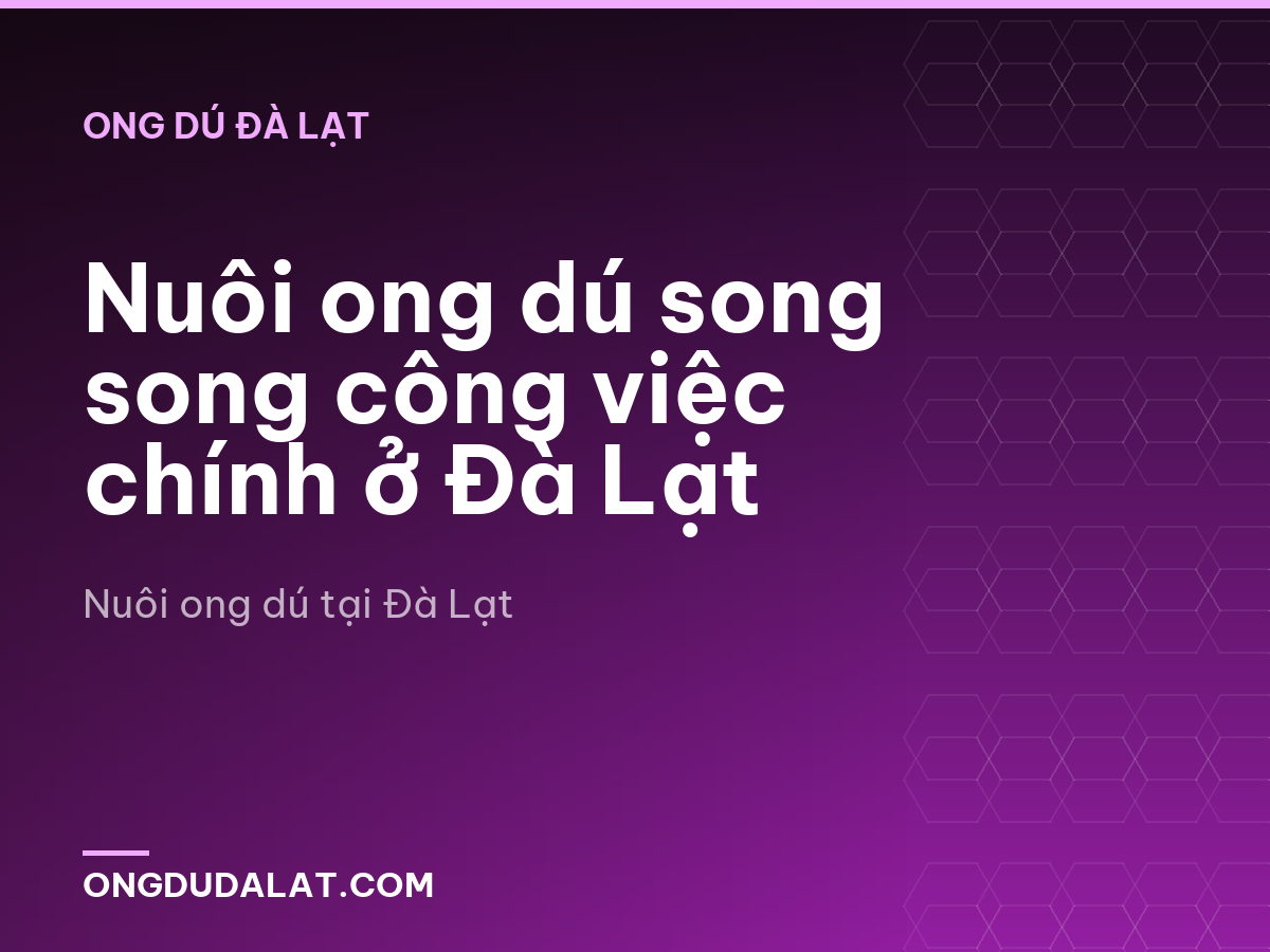 Nuôi ong dú song song công việc chính ở Đà Lạt
