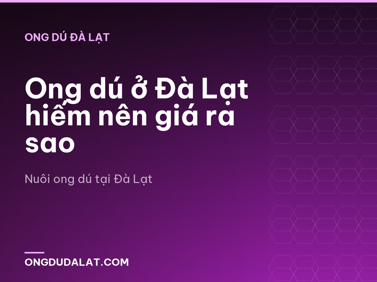 Ong dú ở Đà Lạt hiếm nên giá ra sao
