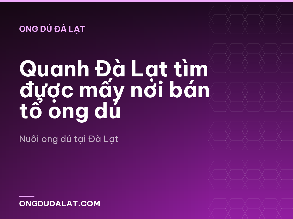 Quanh Đà Lạt tìm được mấy nơi bán tổ ong dú