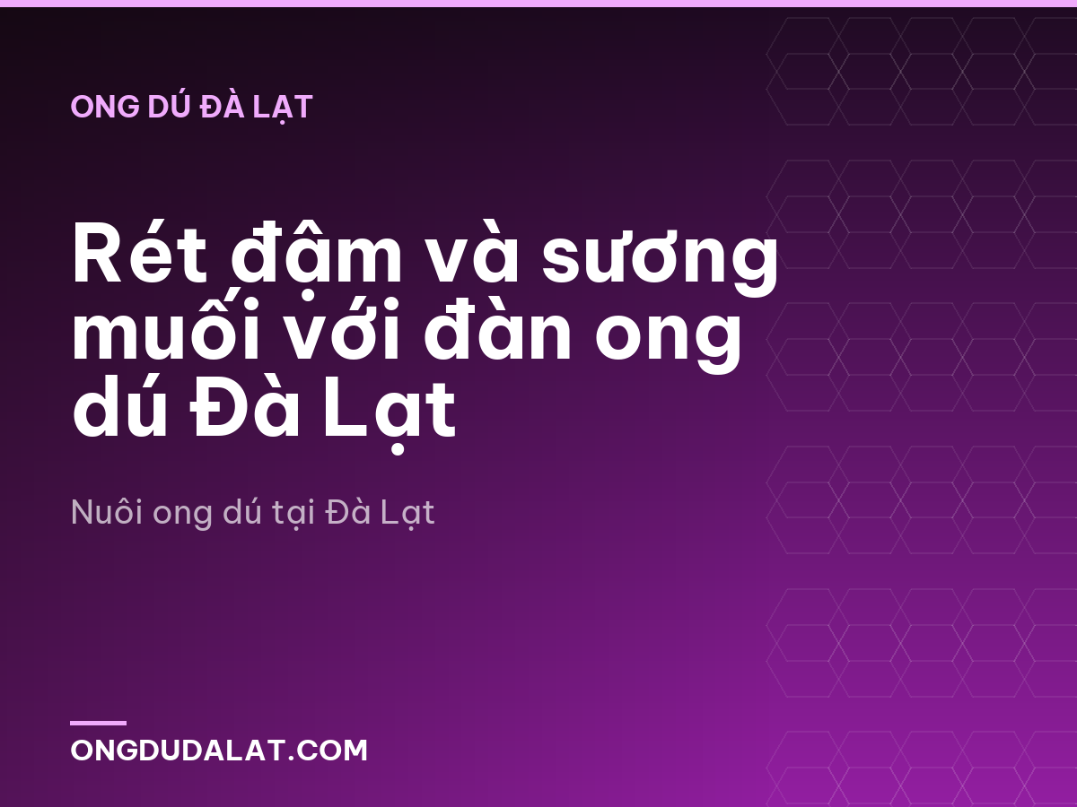 Rét đậm và sương muối với đàn ong dú Đà Lạt
