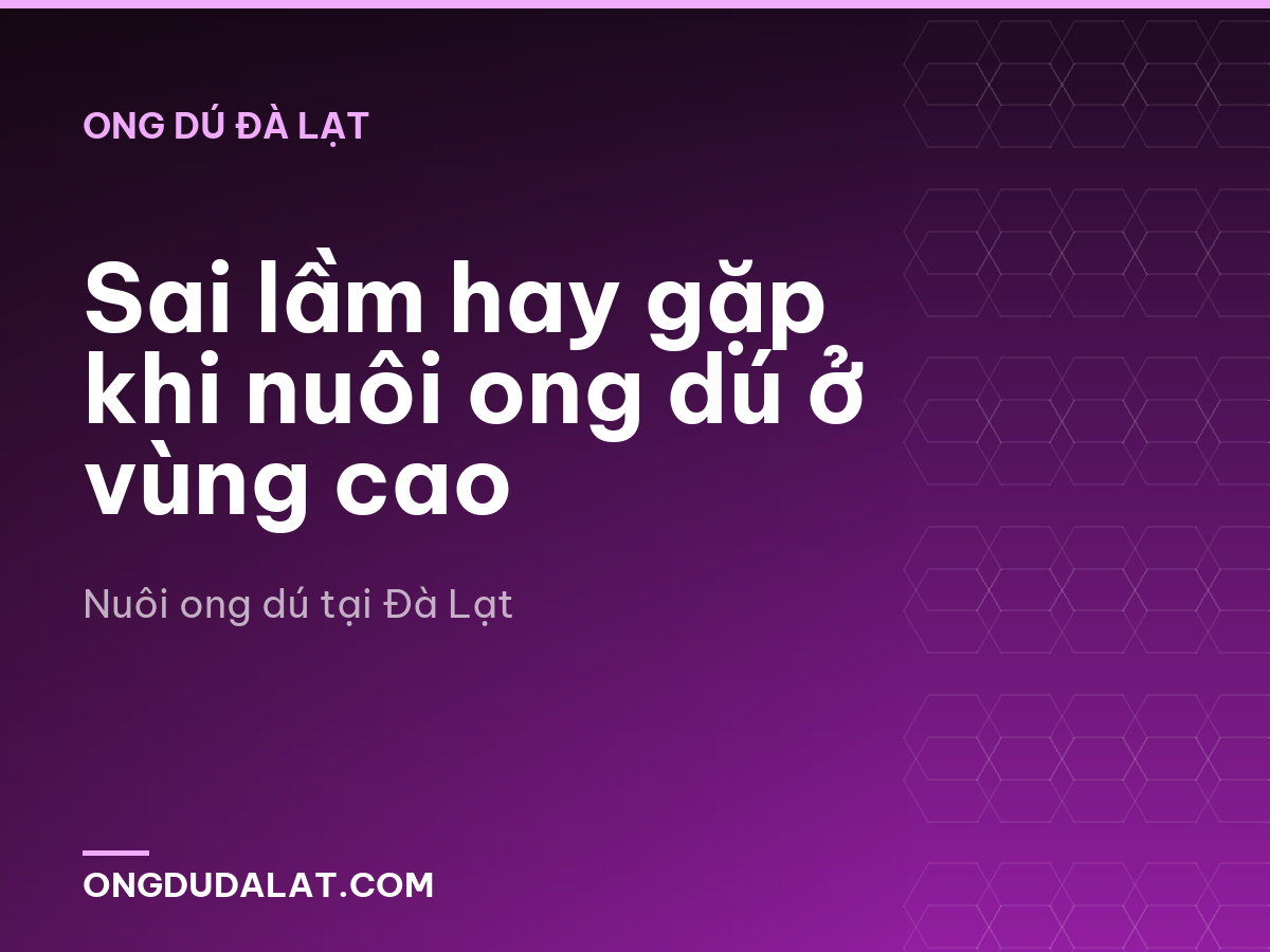 Sai lầm hay gặp khi nuôi ong dú ở vùng cao
