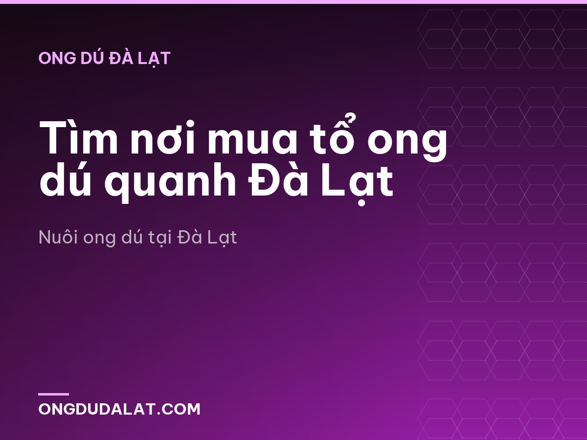 Tìm nơi mua tổ ong dú quanh Đà Lạt