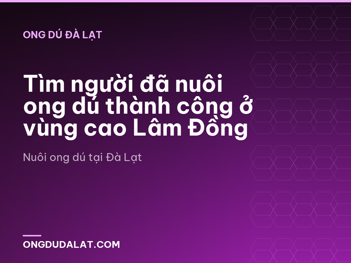 Tìm người đã nuôi ong dú thành công ở vùng cao Lâm Đồng