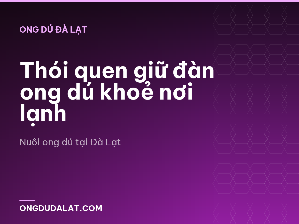 Thói quen giữ đàn ong dú khoẻ nơi lạnh