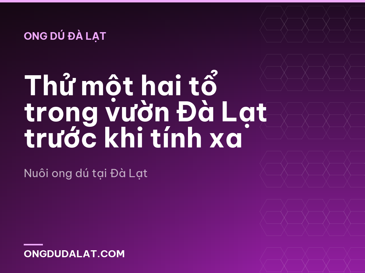 Thử một hai tổ trong vườn Đà Lạt trước khi tính xa