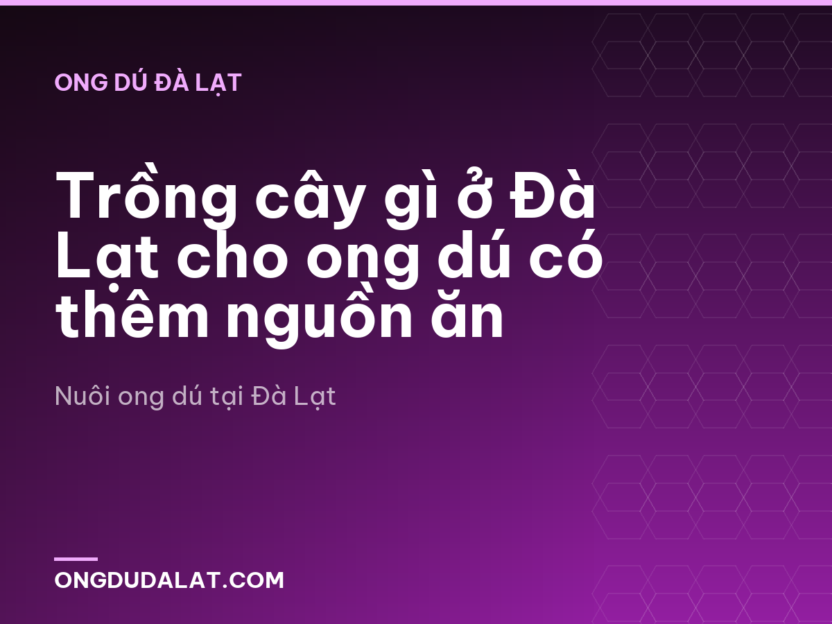 Trồng cây gì ở Đà Lạt cho ong dú có thêm nguồn ăn