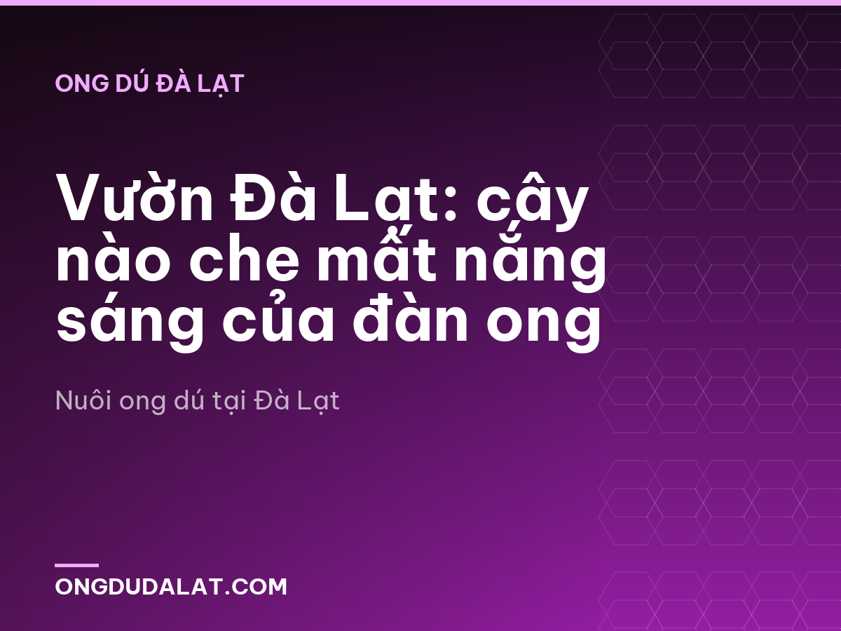 Vườn Đà Lạt: cây nào che mất nắng sáng của đàn ong