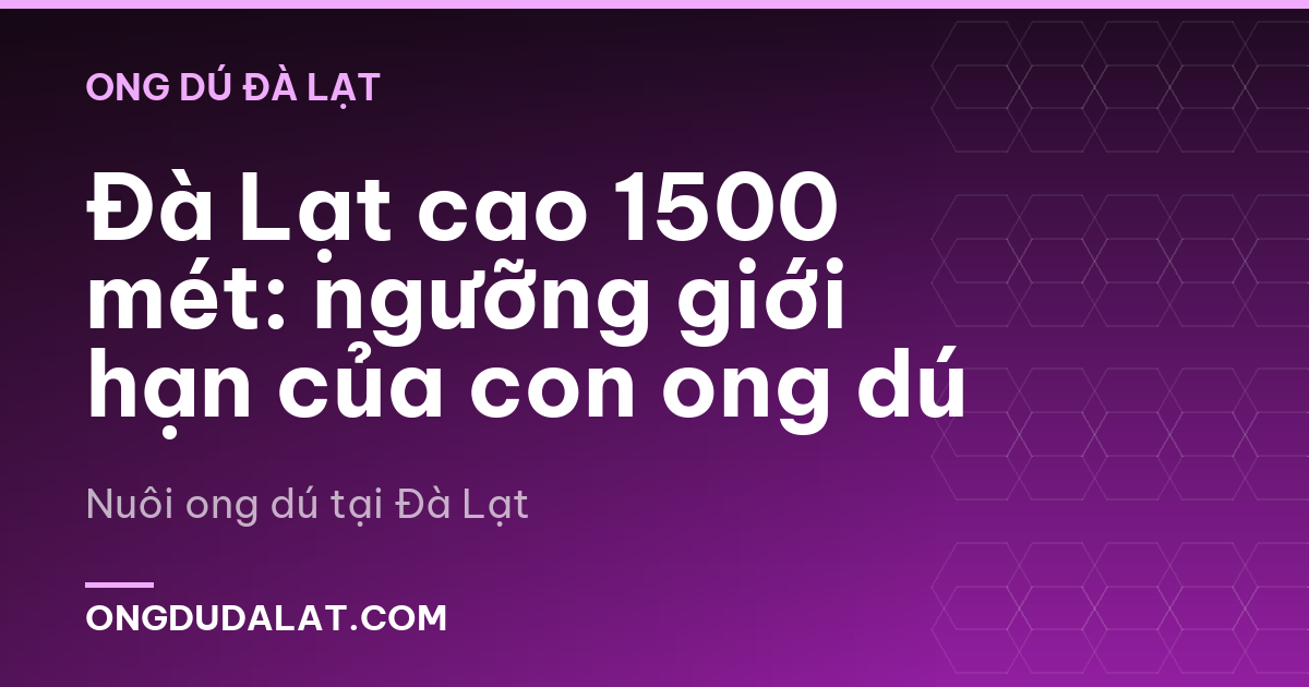Đà Lạt cao 1500 mét: ngưỡng giới hạn của con ong dú