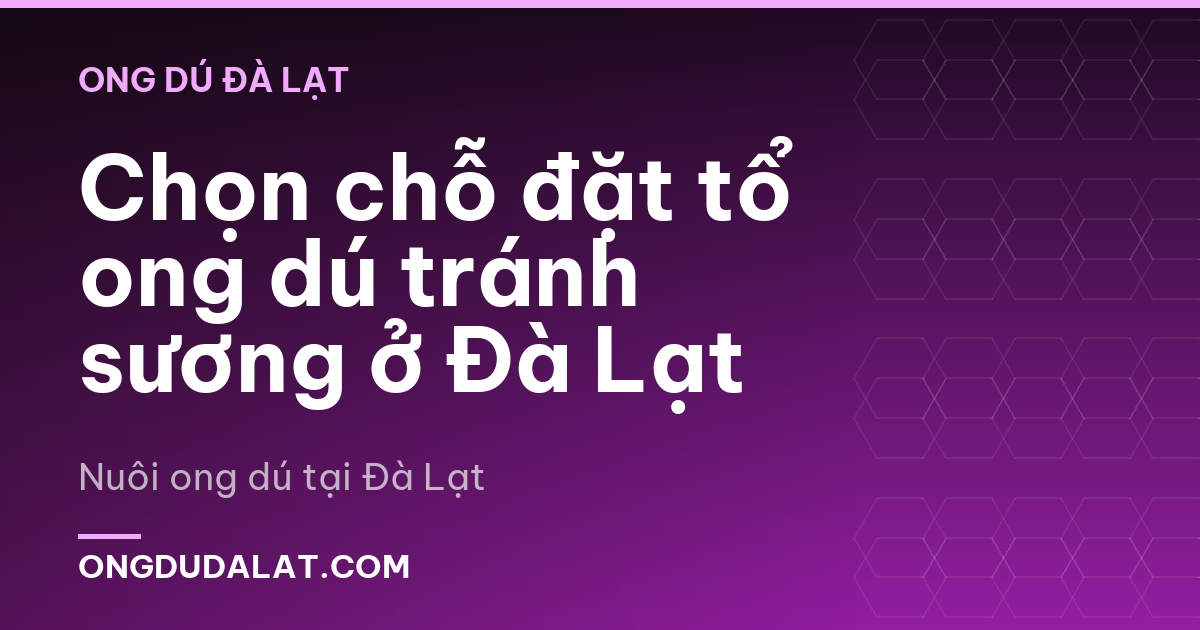 Chọn chỗ đặt tổ ong dú tránh sương ở Đà Lạt