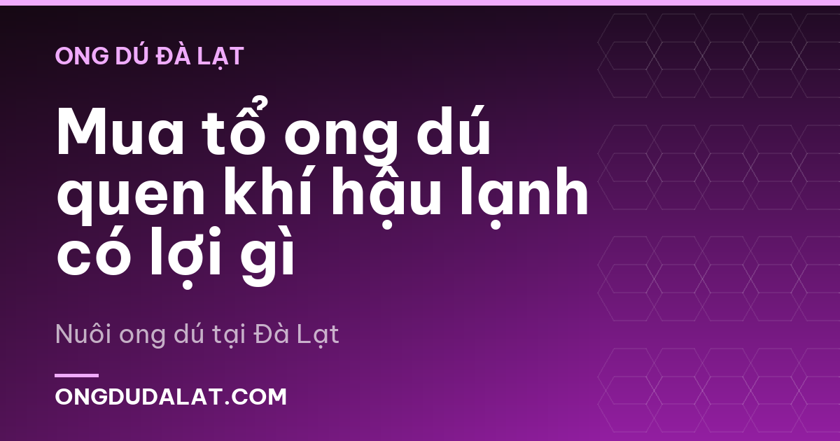 Mua tổ ong dú quen khí hậu lạnh có lợi gì