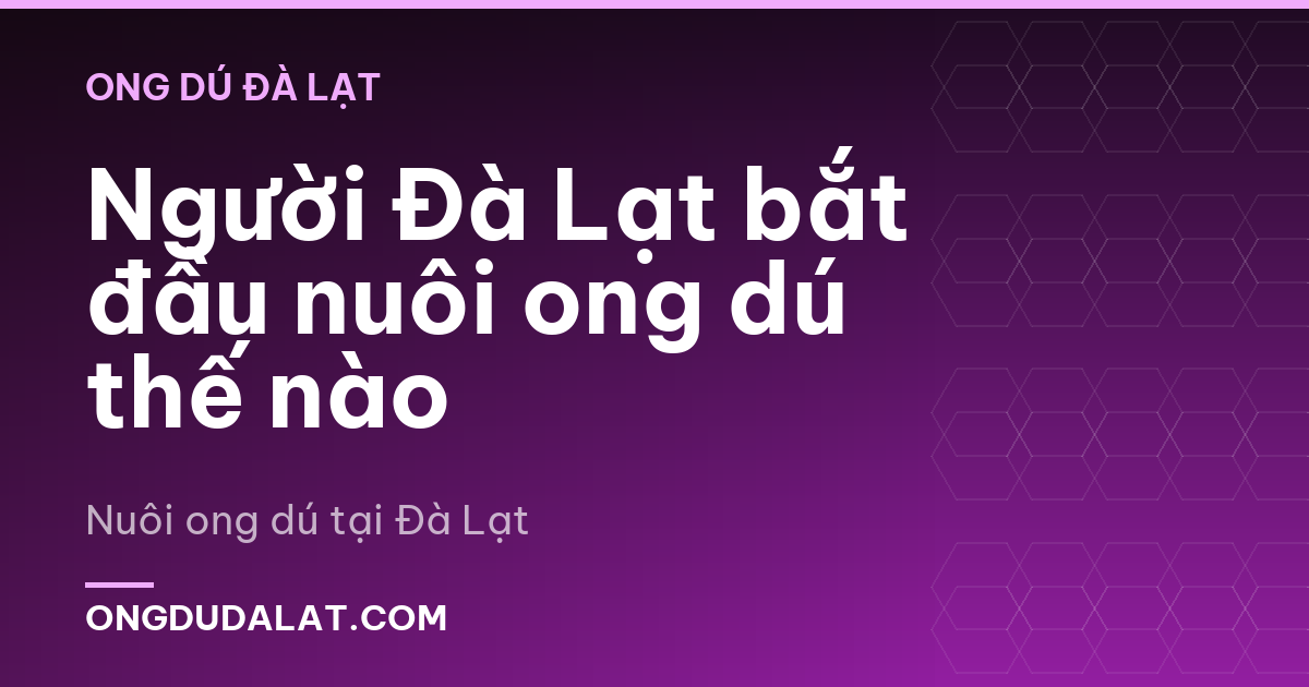 Người Đà Lạt bắt đầu nuôi ong dú thế nào