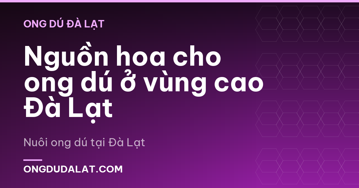 Nguồn hoa cho ong dú ở vùng cao Đà Lạt